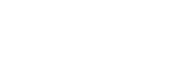 Alexander Bergman